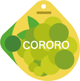 cororo_マスカット